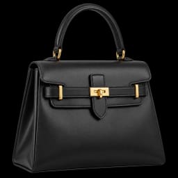 Hermès Birkin 25